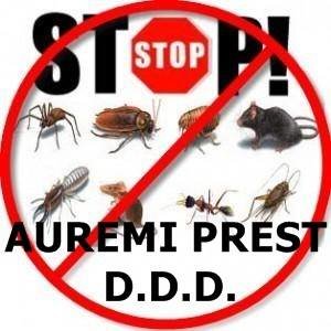 Auremi Prest - Servicii DDD